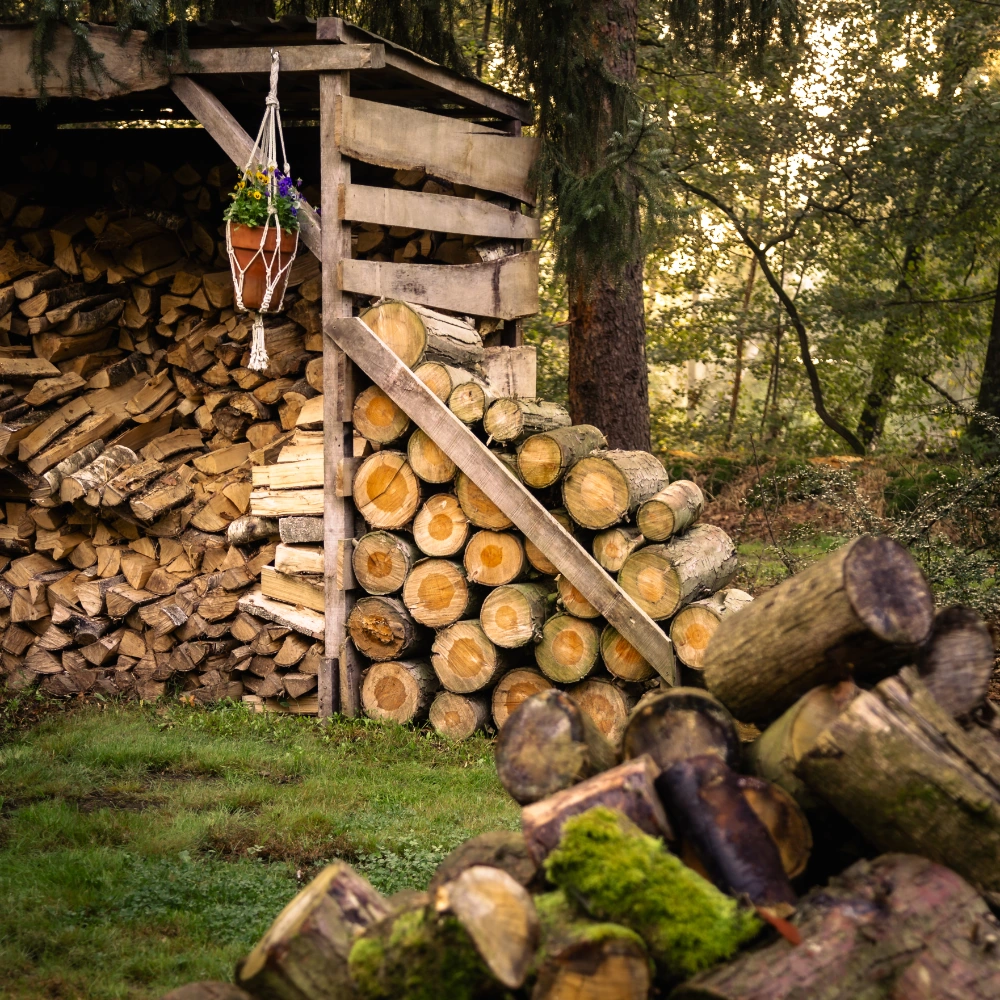 Hout